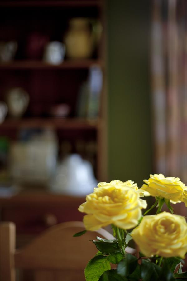 North Walk House Bed & Breakfast Lynton Exterior photo